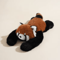  Little Panda