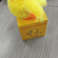  Little Duck
