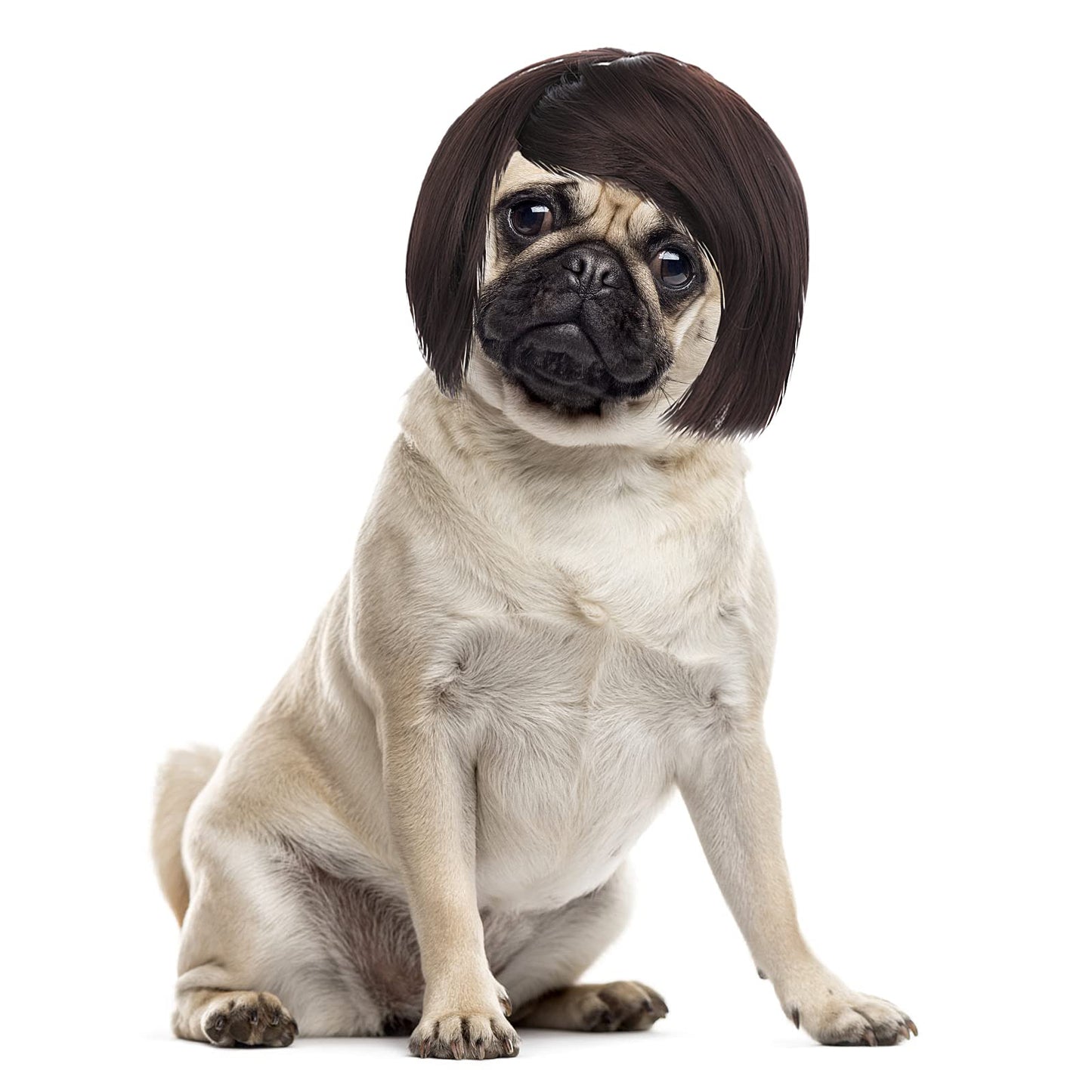 Cobee Funny Dog Cat Cosplay Wig for Small Medium Large Dog Cat Decorations for Halloween Christmas Parties Festivals