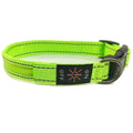  Colorful Green / M