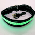  New Green / L