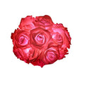  Red / Battery / 10m